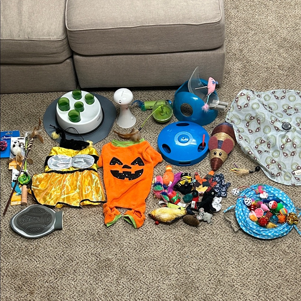 Cat Costume and Toy Set